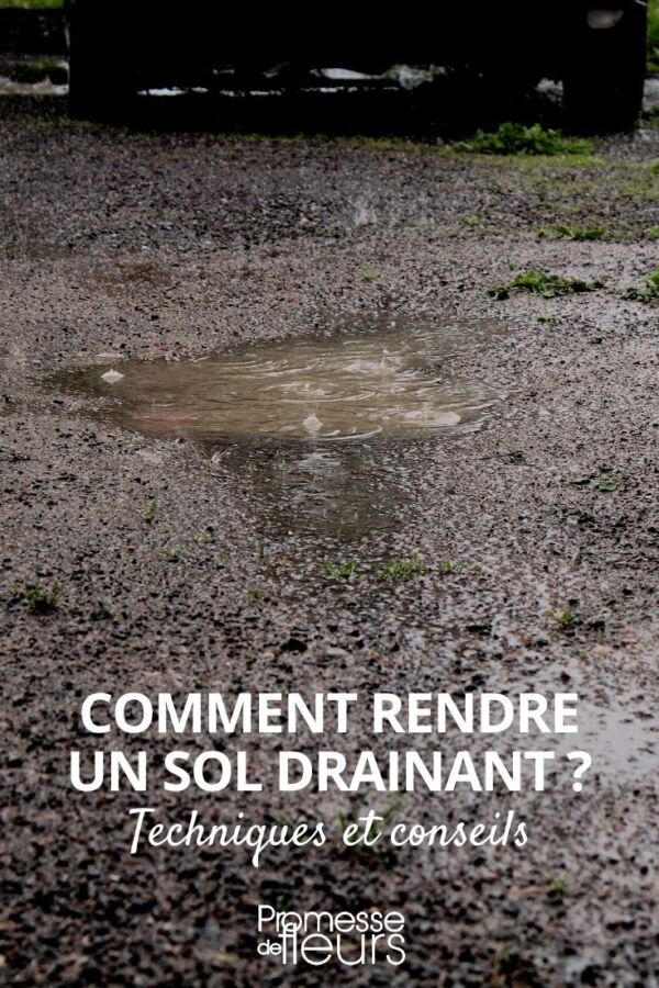 Réparation fissures ragréage efficace